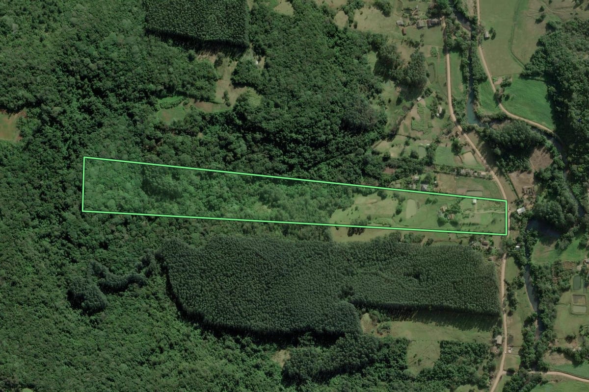 Imagem de satélite do imóvel rural em Rolante (RS), com o contorno declarado no CAR desenhado por cima.