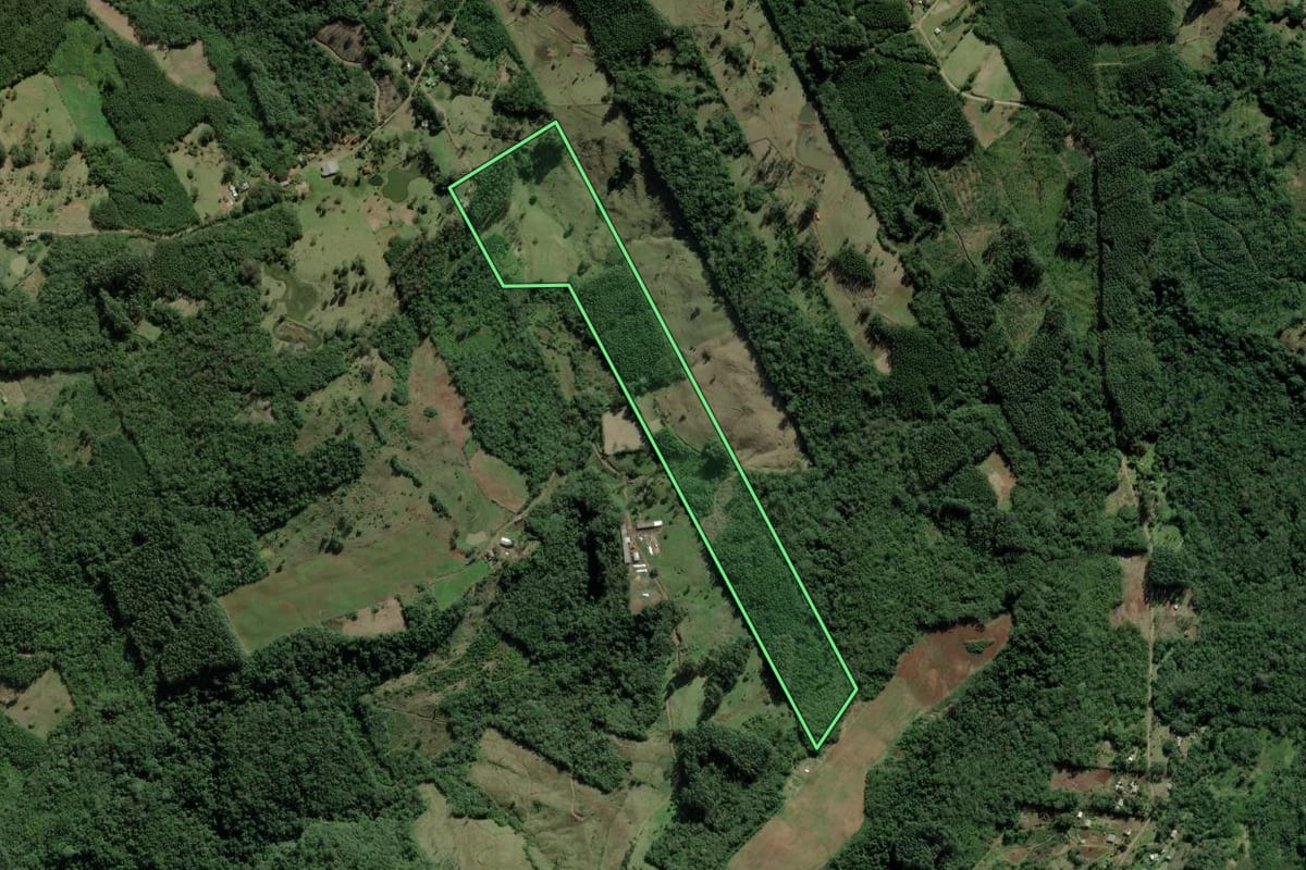 Imagem de satélite do imóvel rural em Rolante (RS), com o contorno declarado no CAR desenhado por cima.