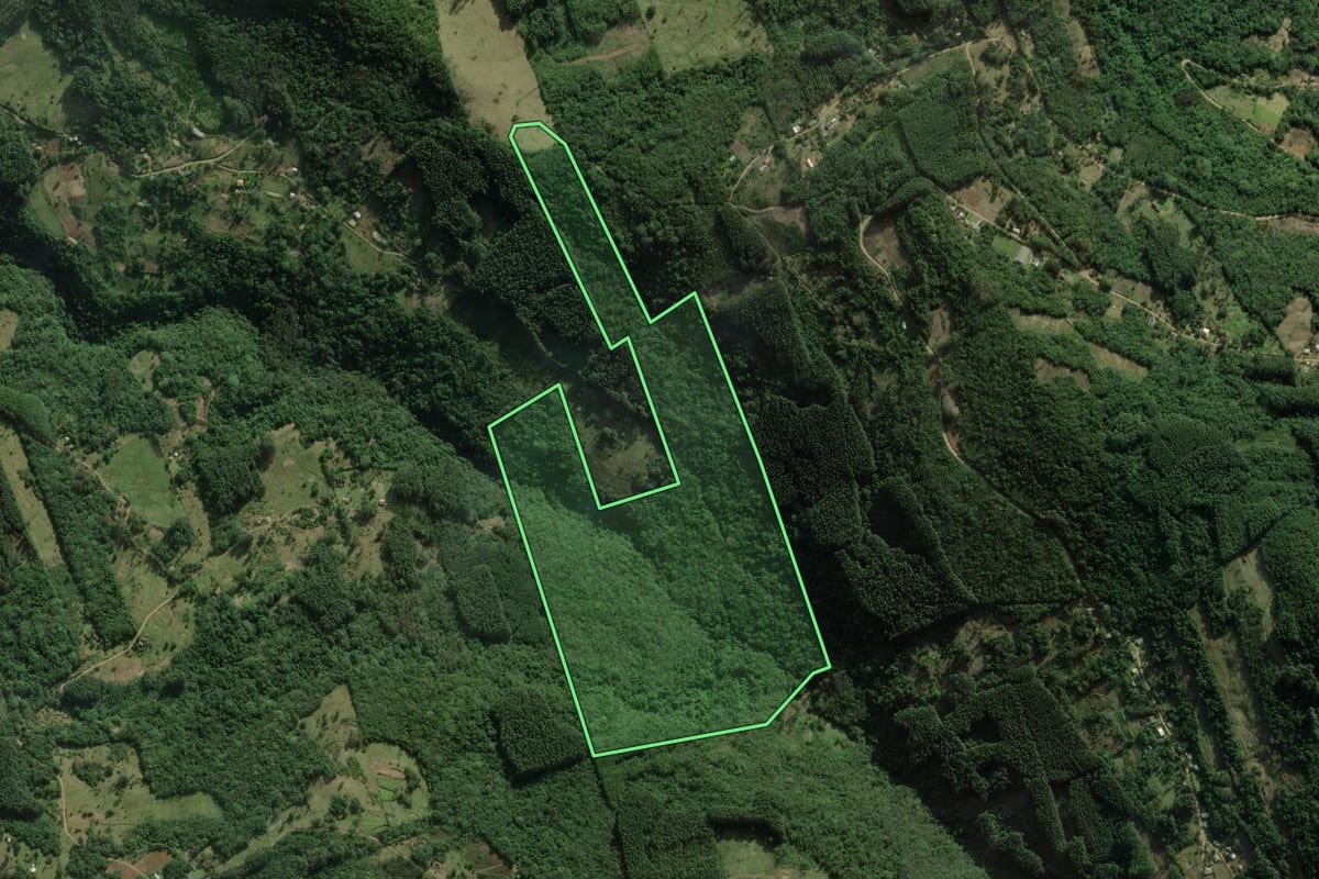 Imagem de satélite do imóvel rural em Rolante (RS), com o contorno declarado no CAR desenhado por cima.