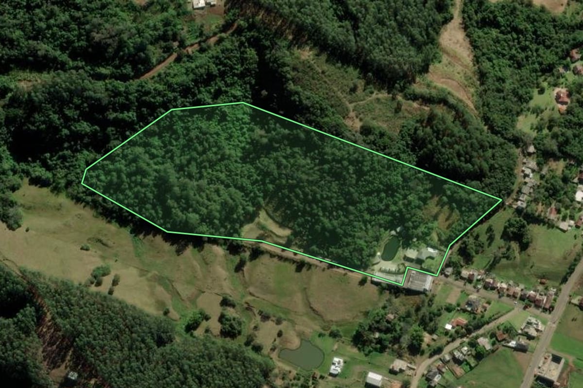 Imagem de satélite do imóvel rural em Rolante (RS), com o contorno declarado no CAR desenhado por cima.