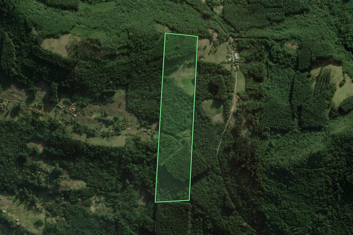 Imagem de satélite do imóvel rural em Rolante (RS), com o contorno declarado no CAR desenhado por cima.