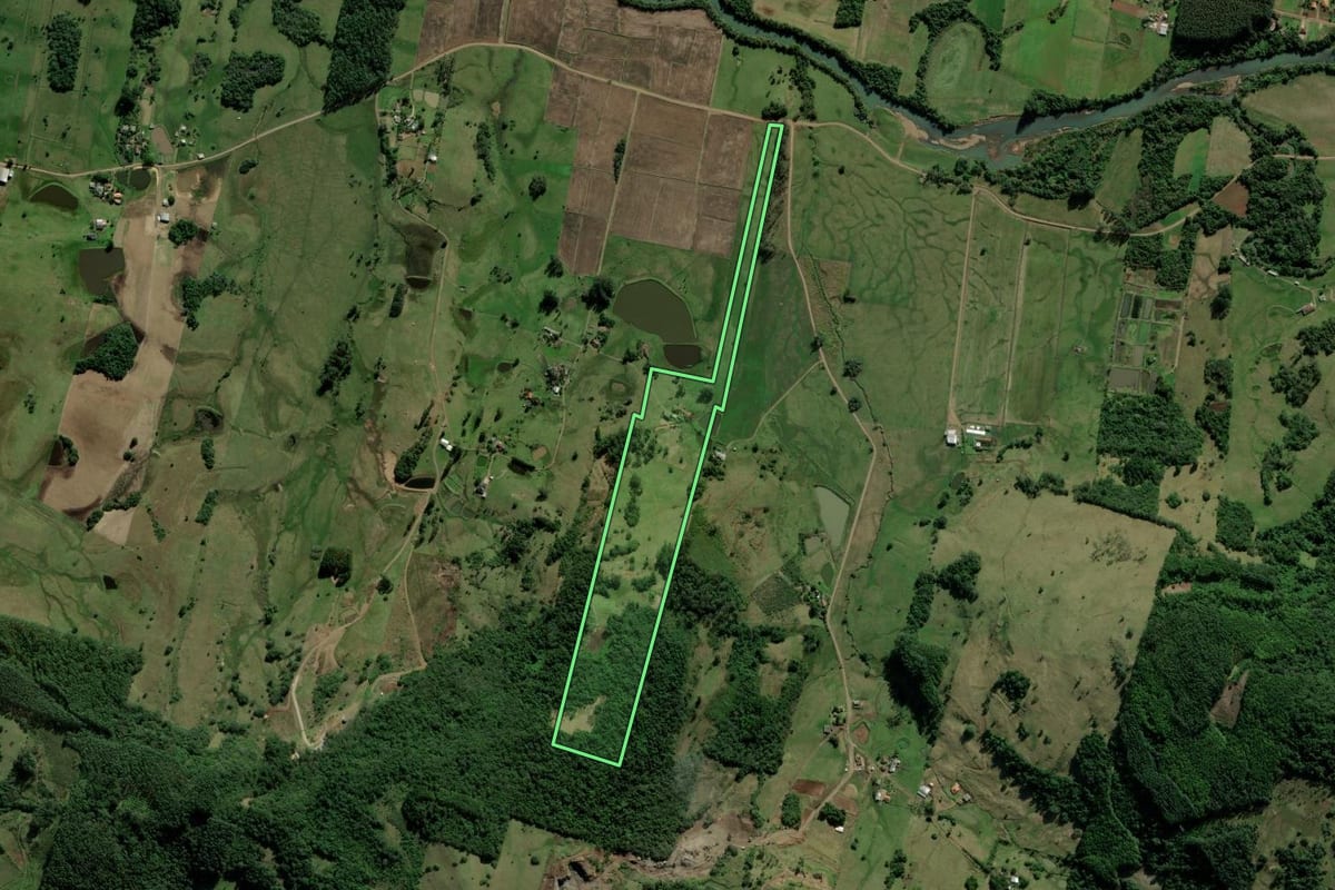 Imagem de satélite do imóvel rural em Rolante (RS), com o contorno declarado no CAR desenhado por cima.