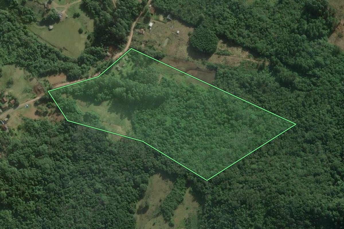 Imagem de satélite do imóvel rural em Rolante (RS), com o contorno declarado no CAR desenhado por cima.