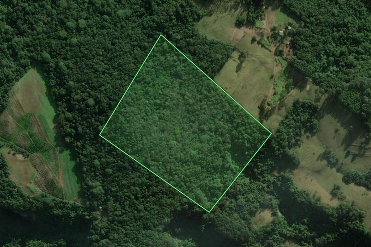 Imagem de satélite do imóvel rural em Rolante (RS), com o contorno declarado no CAR desenhado por cima.