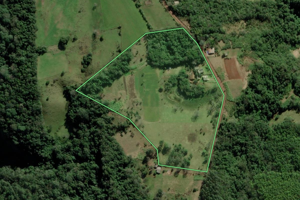 Imagem de satélite do imóvel rural em Rolante (RS), com o contorno declarado no CAR desenhado por cima.