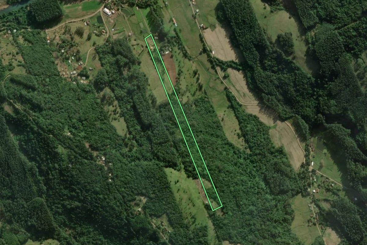 Imagem de satélite do imóvel rural em Rolante (RS), com o contorno declarado no CAR desenhado por cima.