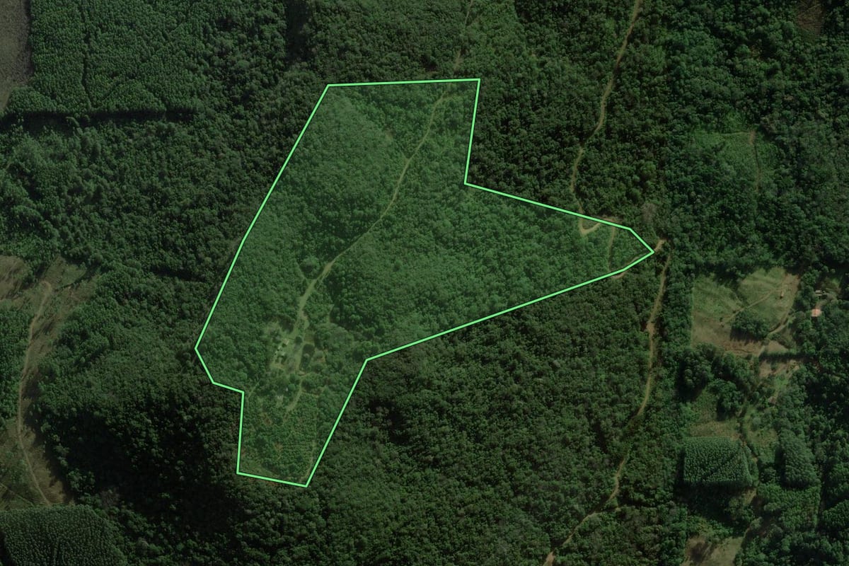 Imagem de satélite do imóvel rural em Rolante (RS), com o contorno declarado no CAR desenhado por cima.