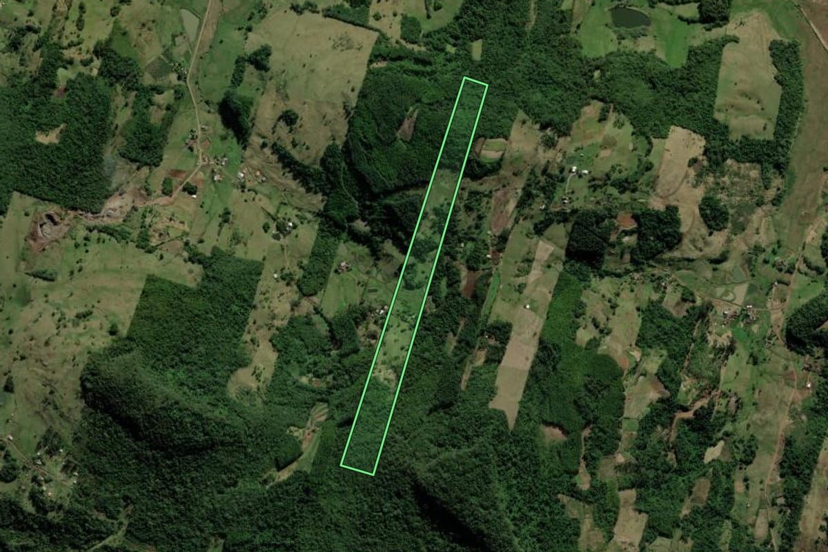 Imagem de satélite do imóvel rural em Rolante (RS), com o contorno declarado no CAR desenhado por cima.