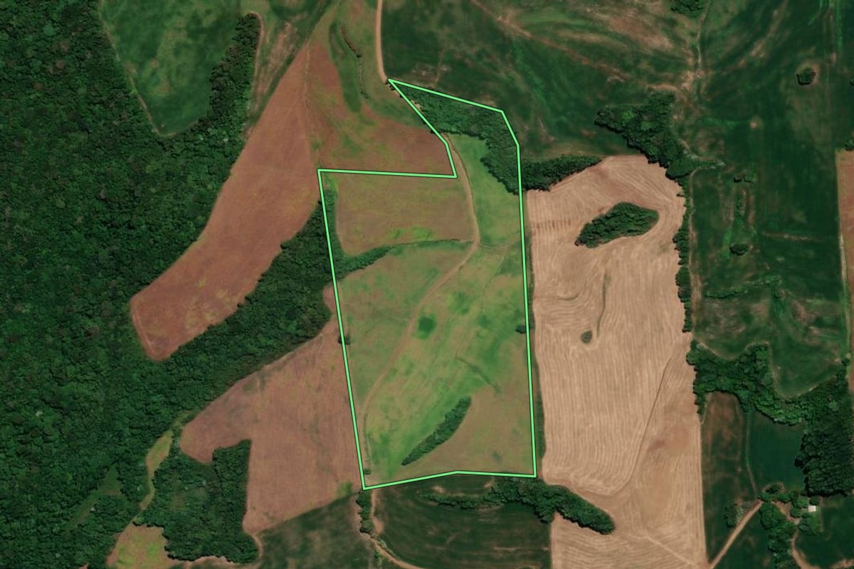 Imagem de satélite do imóvel rural em Ronda Alta (RS), com o contorno declarado no CAR desenhado por cima.