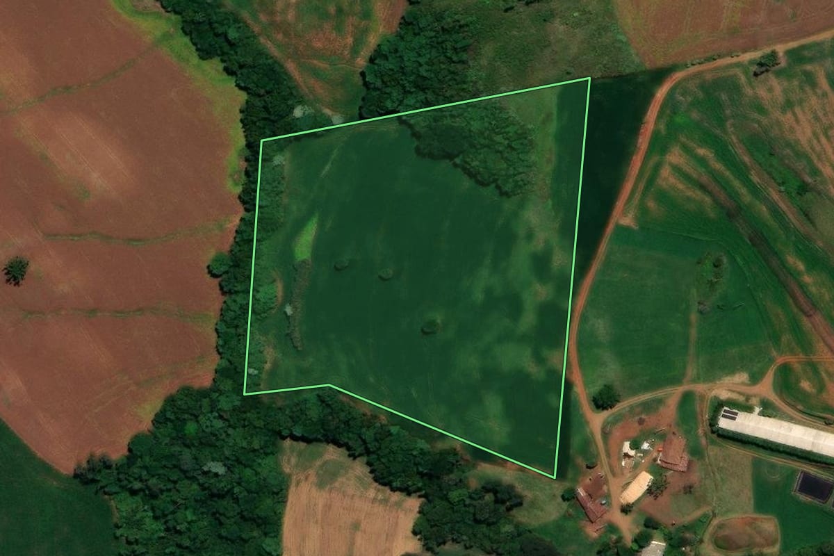 Imagem de satélite do imóvel rural em Ronda Alta (RS), com o contorno declarado no CAR desenhado por cima.