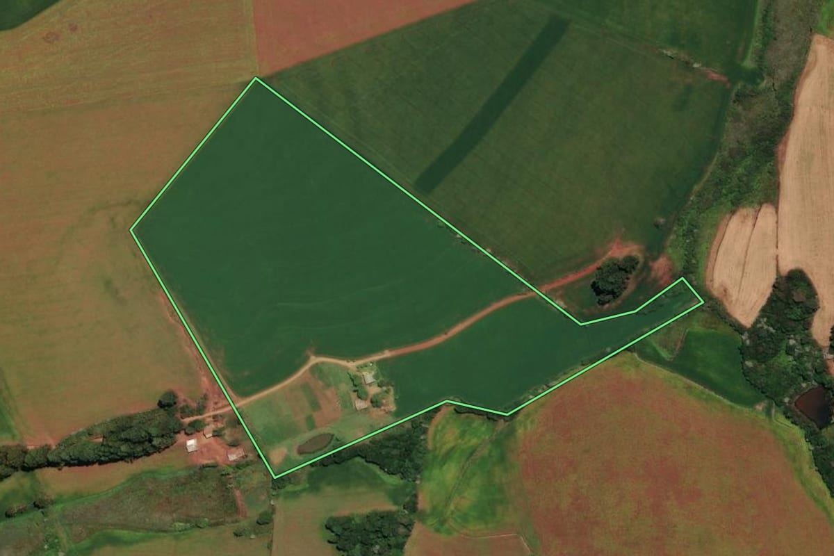 Imagem de satélite do imóvel rural em Ronda Alta (RS), com o contorno declarado no CAR desenhado por cima.