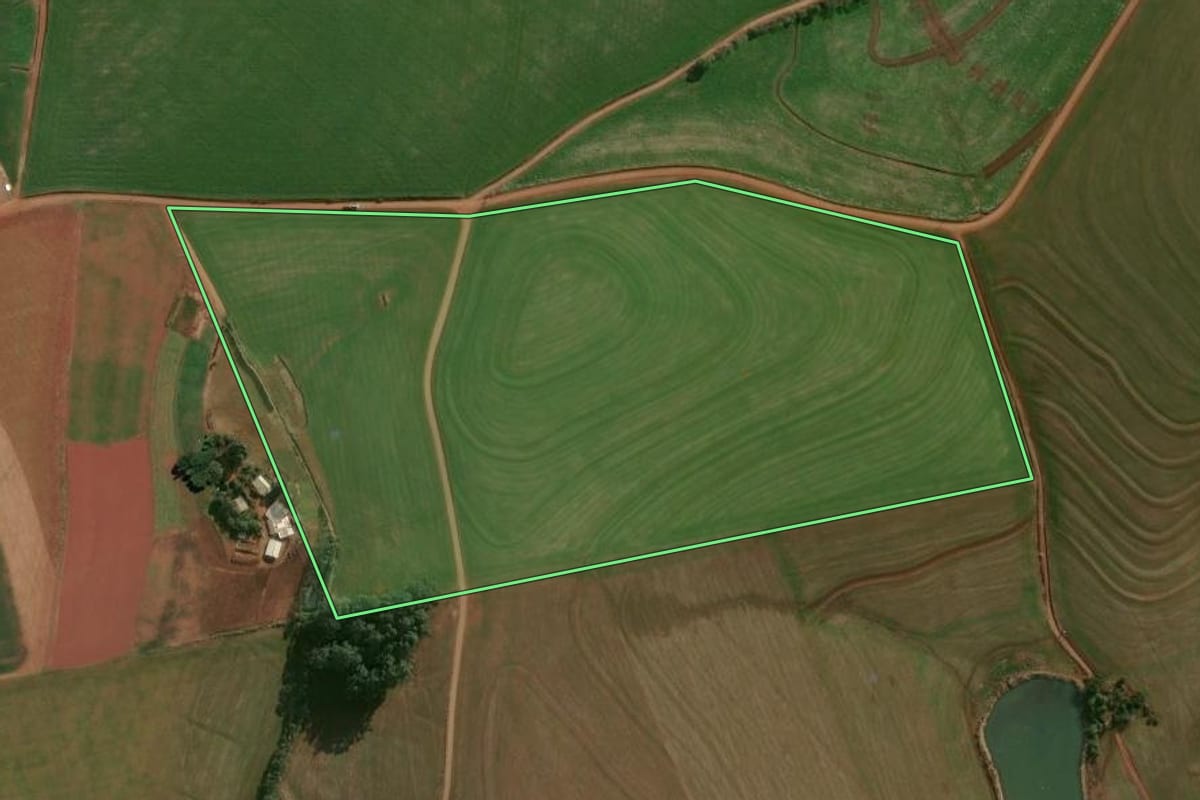 Imagem de satélite do imóvel rural em Ronda Alta (RS), com o contorno declarado no CAR desenhado por cima.