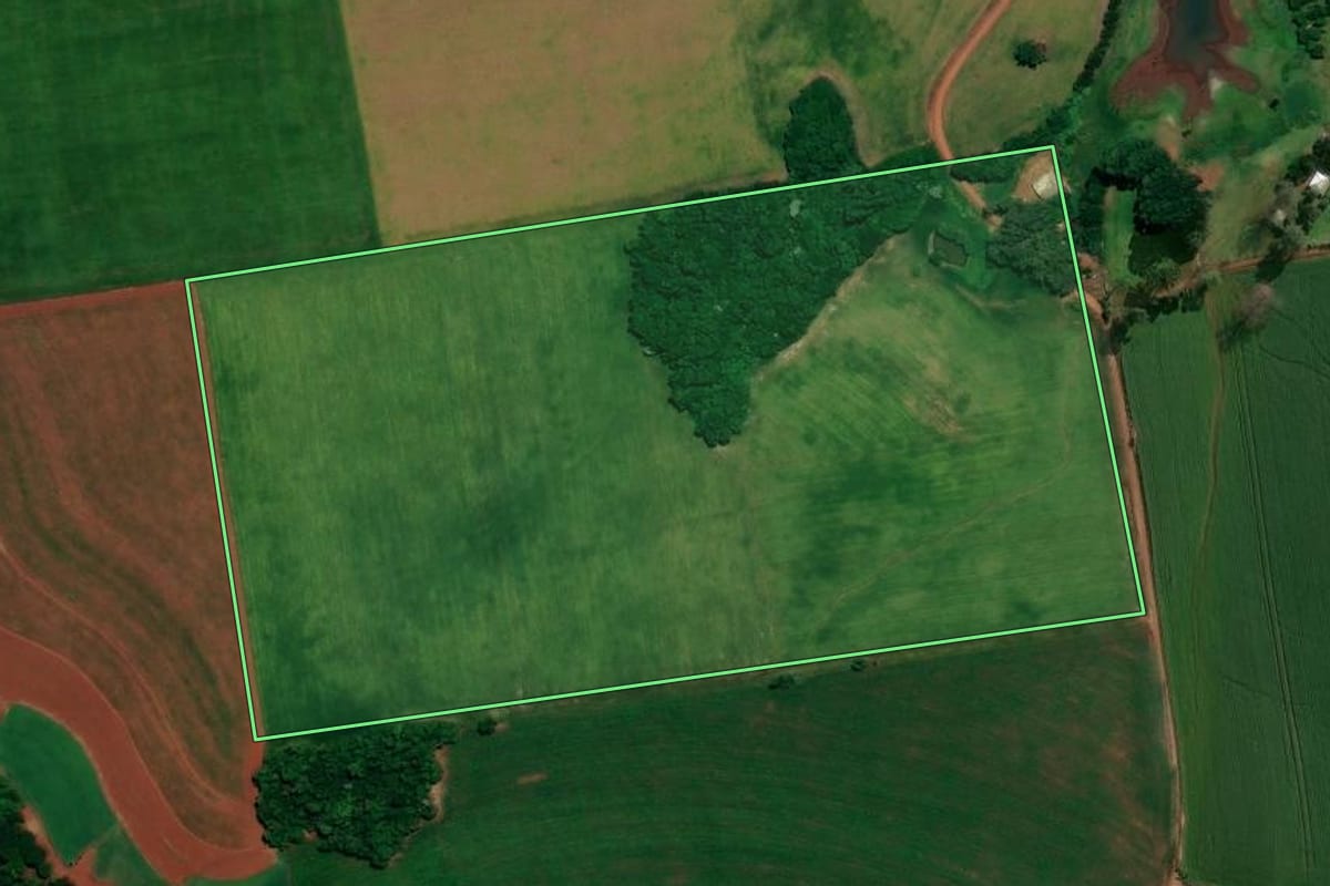 Imagem de satélite do imóvel rural em Ronda Alta (RS), com o contorno declarado no CAR desenhado por cima.