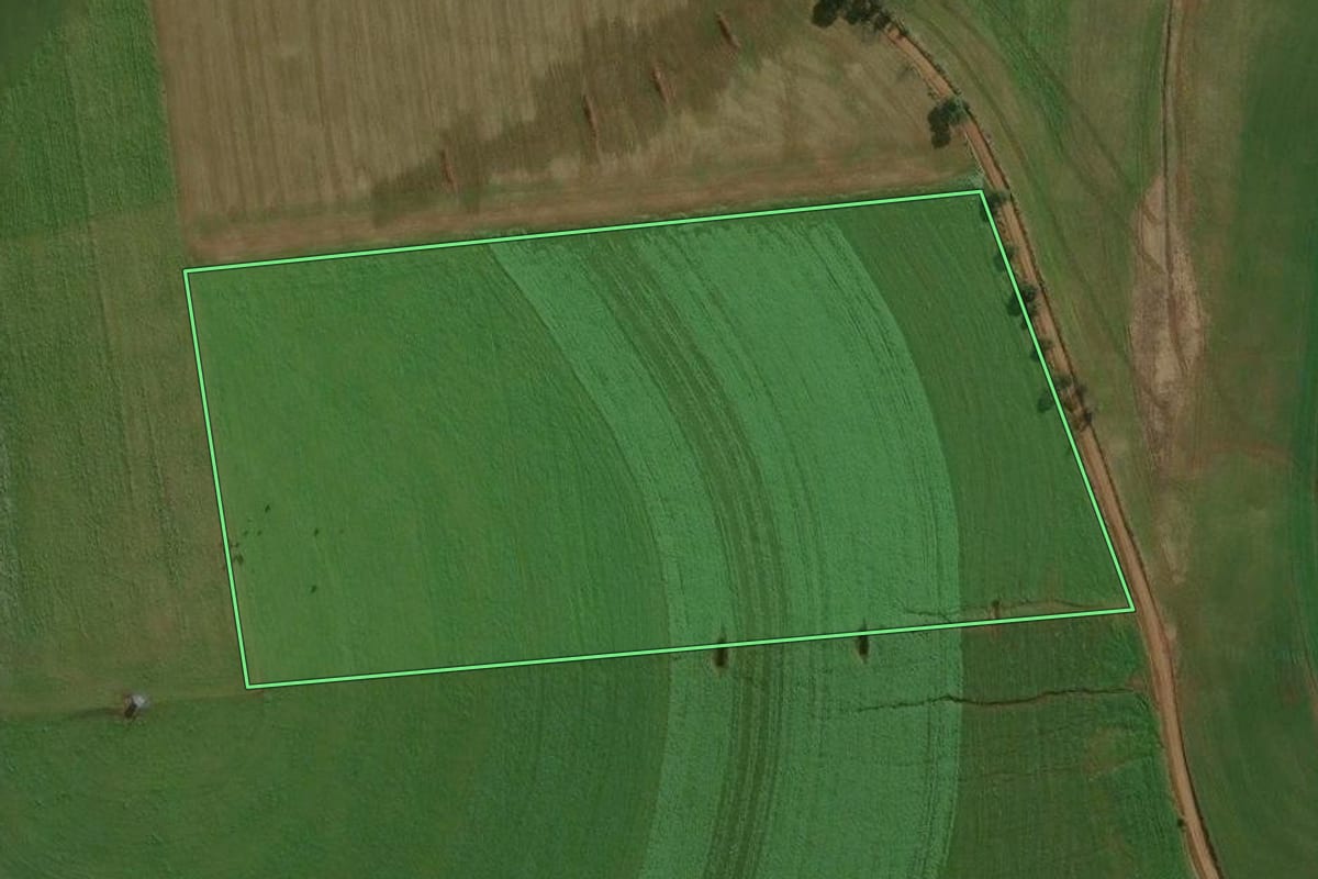 Imagem de satélite do imóvel rural em Ronda Alta (RS), com o contorno declarado no CAR desenhado por cima.