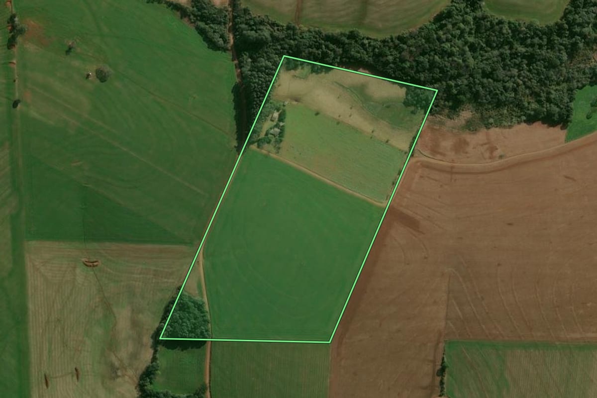 Imagem de satélite do imóvel rural em Ronda Alta (RS), com o contorno declarado no CAR desenhado por cima.