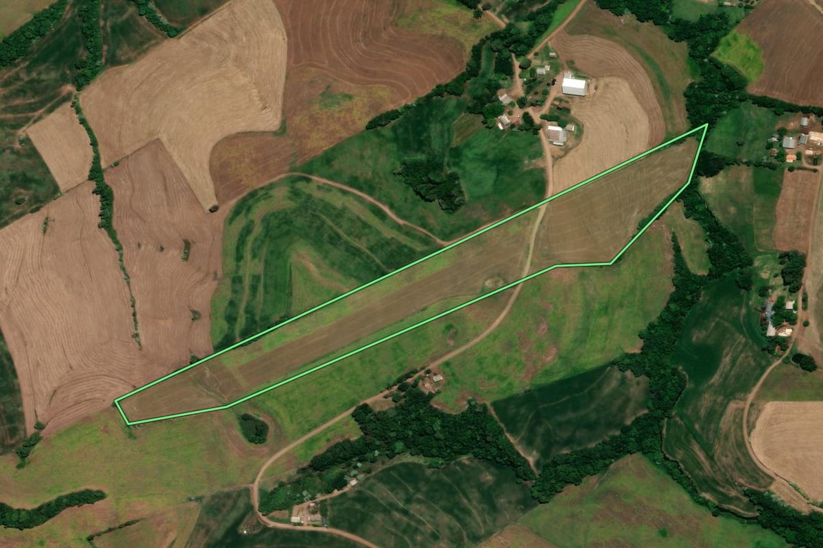 Imagem de satélite do imóvel rural em Ronda Alta (RS), com o contorno declarado no CAR desenhado por cima.