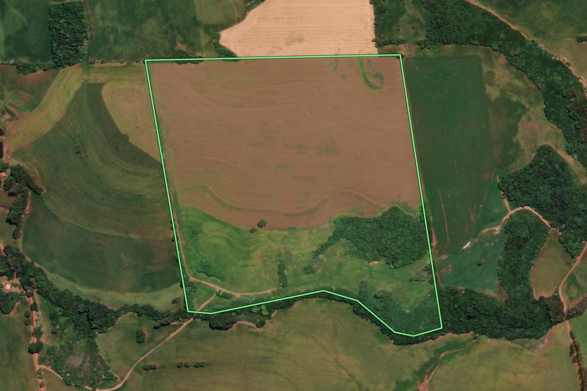 Imagem de satélite do imóvel rural em Ronda Alta (RS), com o contorno declarado no CAR desenhado por cima.