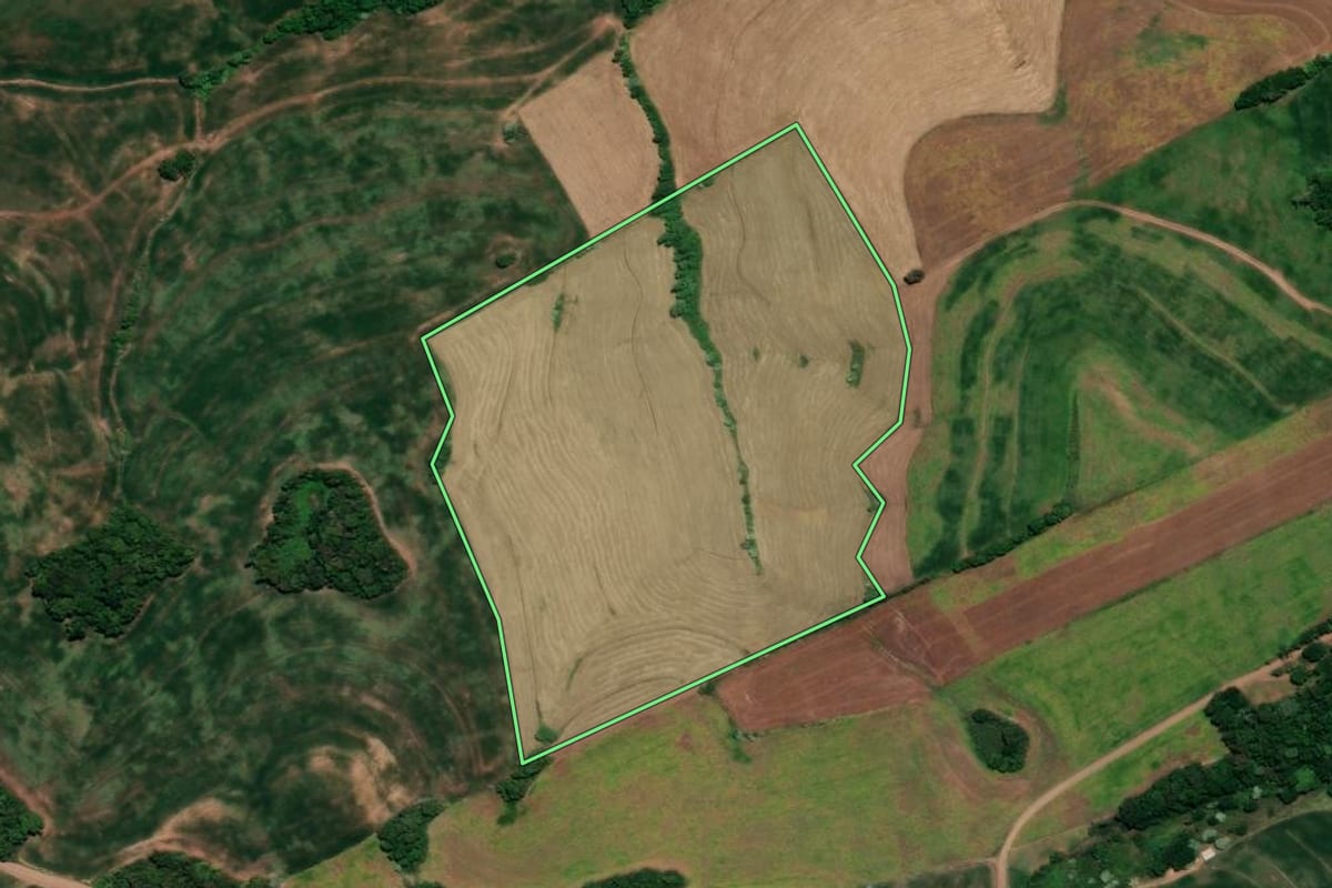 Imagem de satélite do imóvel rural em Ronda Alta (RS), com o contorno declarado no CAR desenhado por cima.