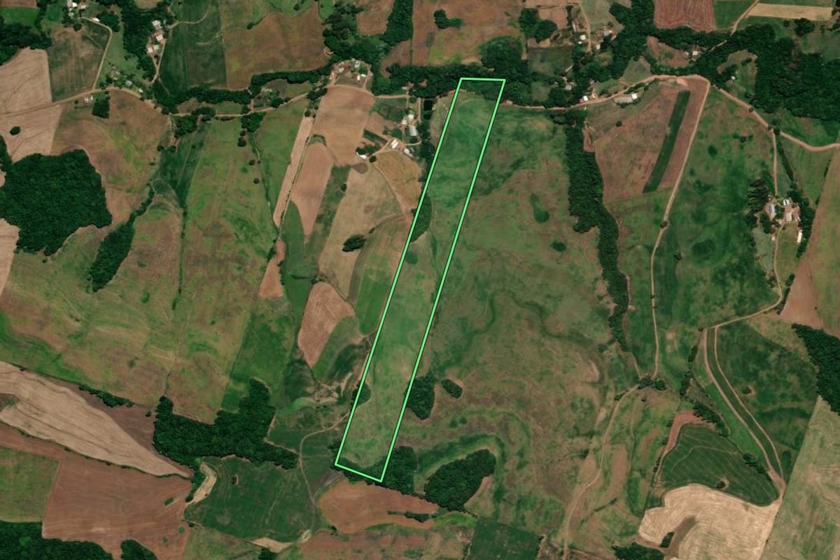 Imagem de satélite do imóvel rural em Ronda Alta (RS), com o contorno declarado no CAR desenhado por cima.