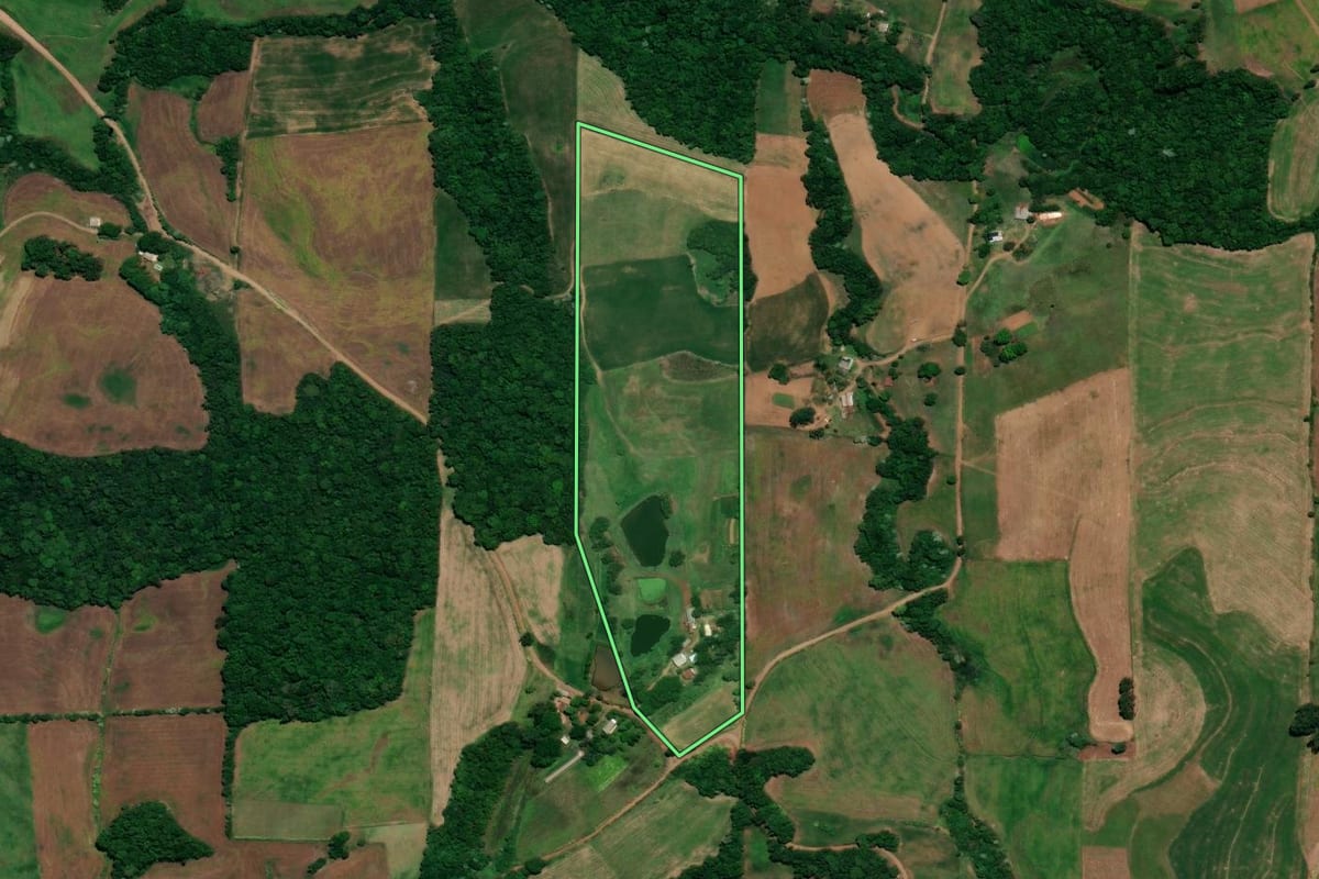 Imagem de satélite do imóvel rural em Ronda Alta (RS), com o contorno declarado no CAR desenhado por cima.