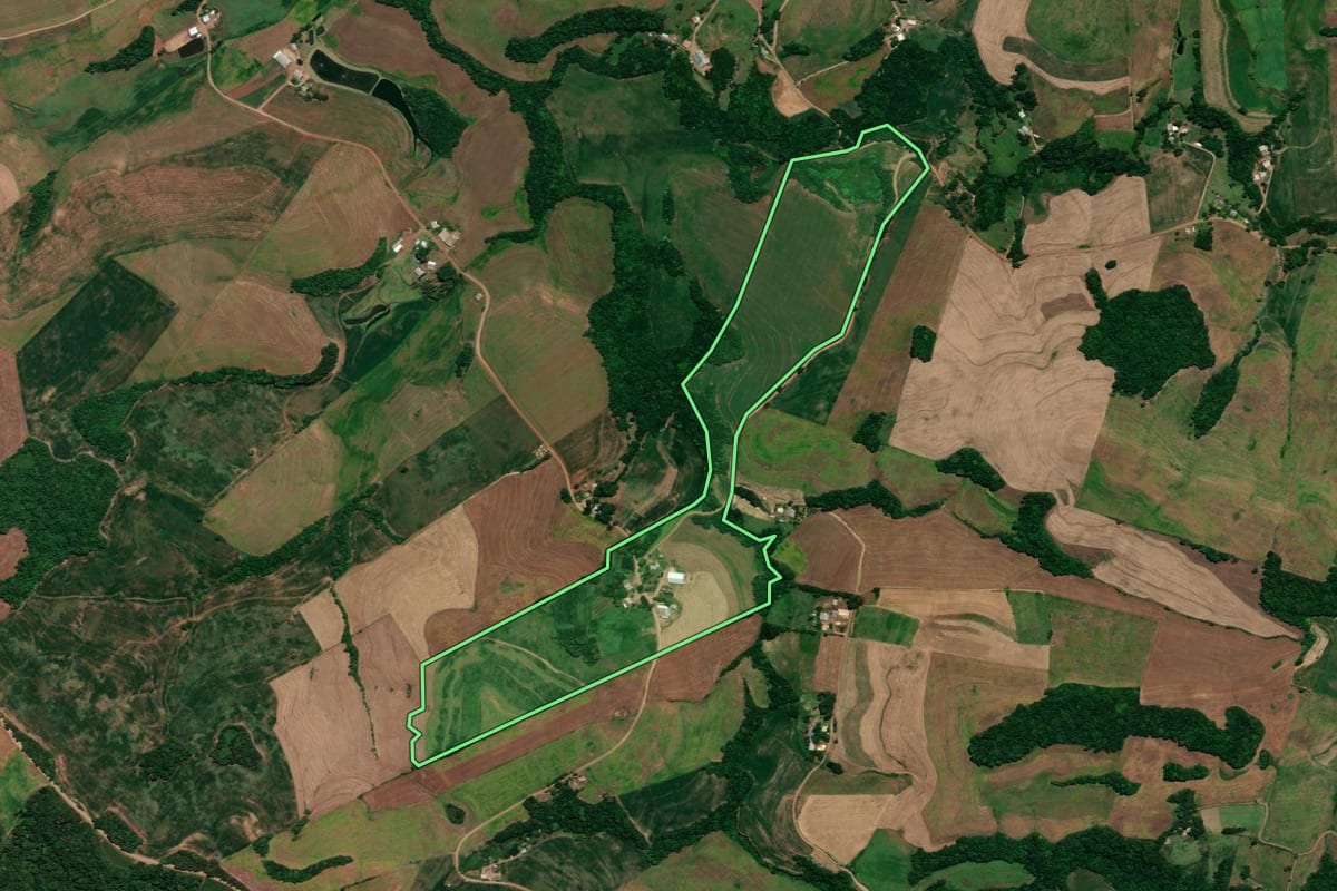 Imagem de satélite do imóvel rural em Ronda Alta (RS), com o contorno declarado no CAR desenhado por cima.