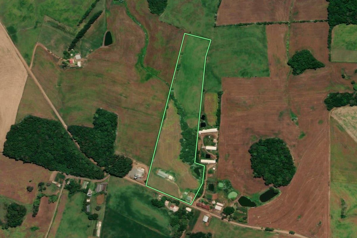 Imagem de satélite do imóvel rural em Ronda Alta (RS), com o contorno declarado no CAR desenhado por cima.