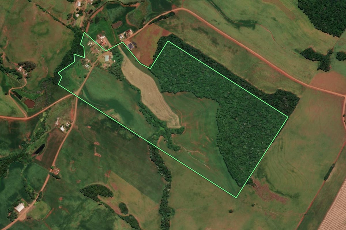 Imagem de satélite do imóvel rural em Ronda Alta (RS), com o contorno declarado no CAR desenhado por cima.
