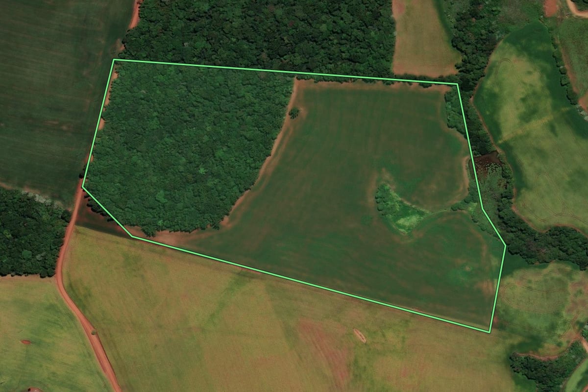 Imagem de satélite do imóvel rural em Ronda Alta (RS), com o contorno declarado no CAR desenhado por cima.