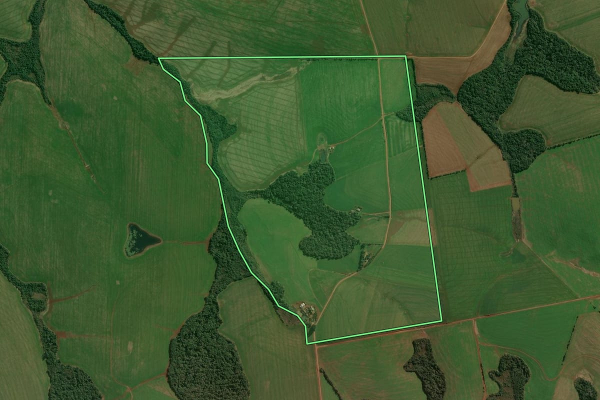Imagem de satélite do imóvel rural em Ronda Alta (RS), com o contorno declarado no CAR desenhado por cima.