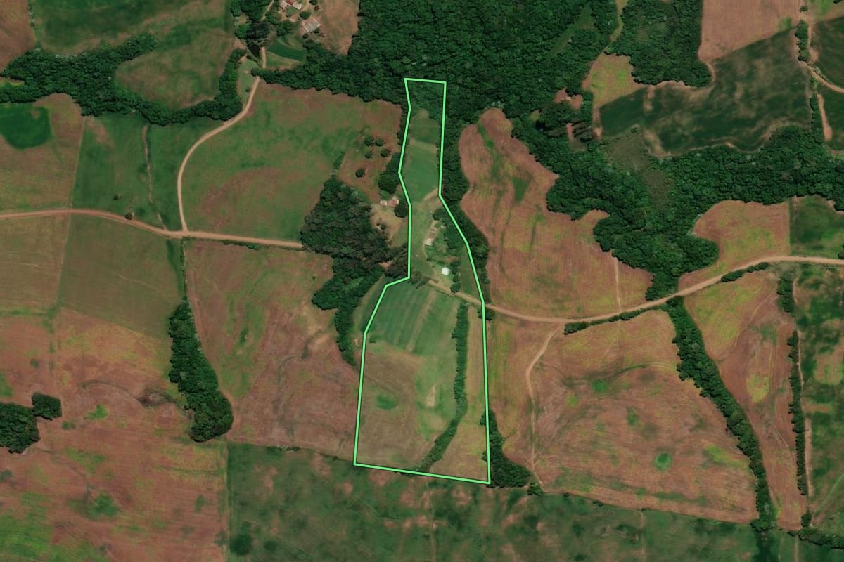 Imagem de satélite do imóvel rural em Ronda Alta (RS), com o contorno declarado no CAR desenhado por cima.