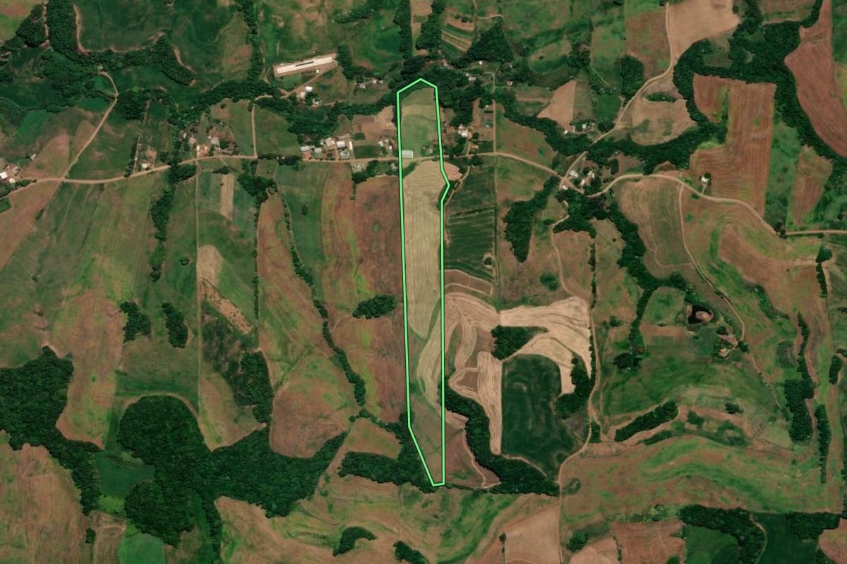 Imagem de satélite do imóvel rural em Ronda Alta (RS), com o contorno declarado no CAR desenhado por cima.