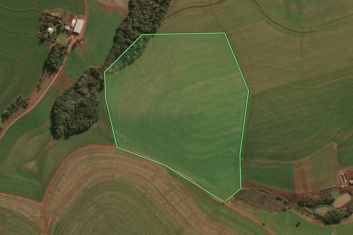 Imagem de satélite do imóvel rural em Ronda Alta (RS), com o contorno declarado no CAR desenhado por cima.