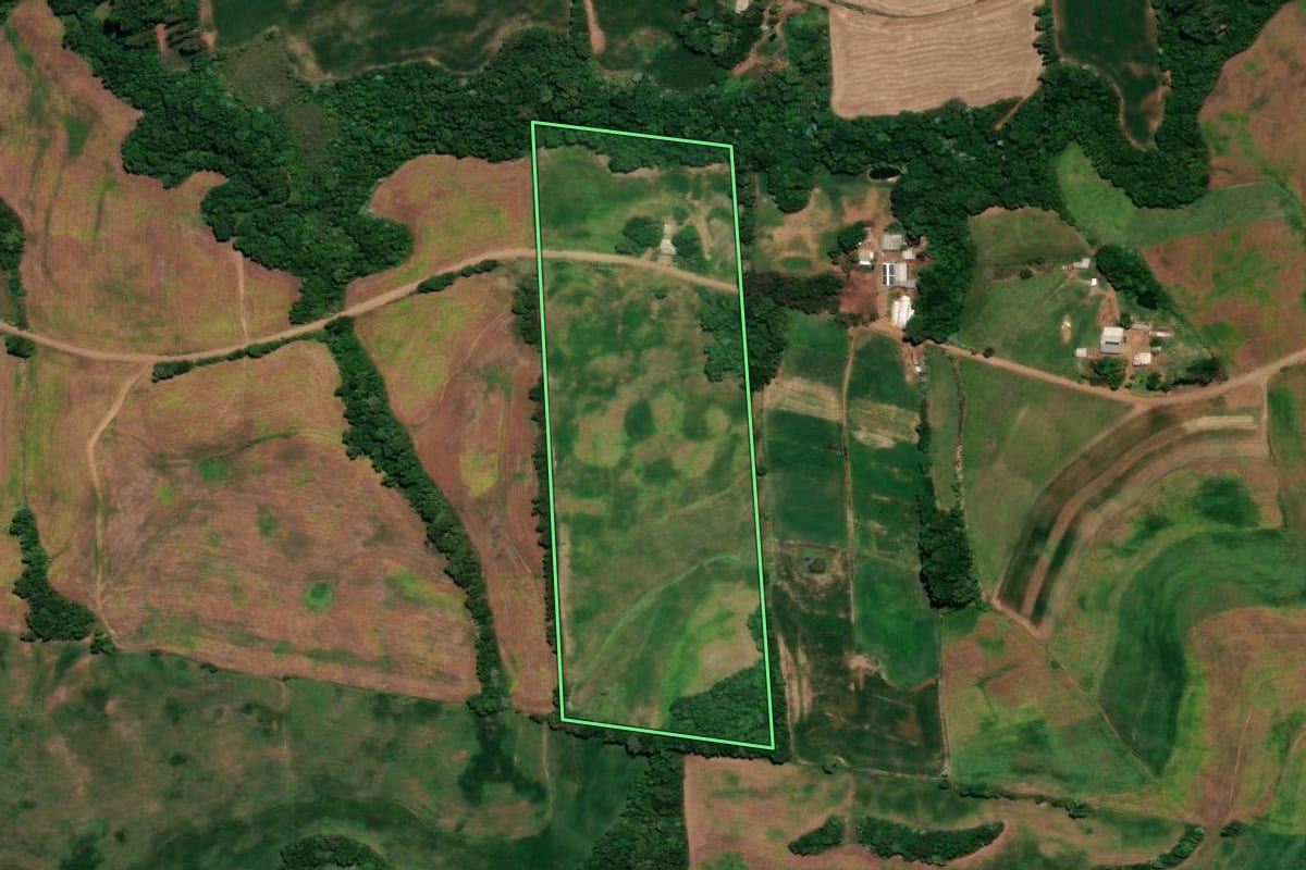 Imagem de satélite do imóvel rural em Ronda Alta (RS), com o contorno declarado no CAR desenhado por cima.