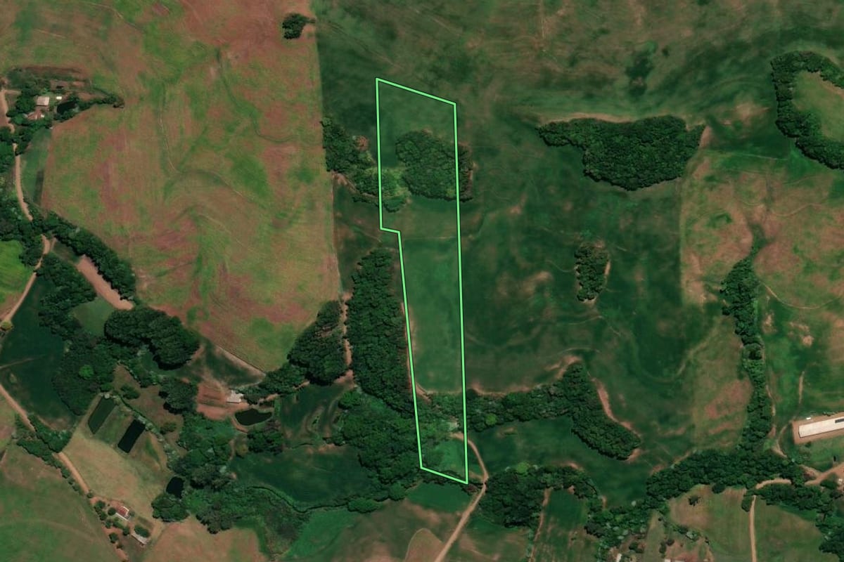 Imagem de satélite do imóvel rural em Ronda Alta (RS), com o contorno declarado no CAR desenhado por cima.