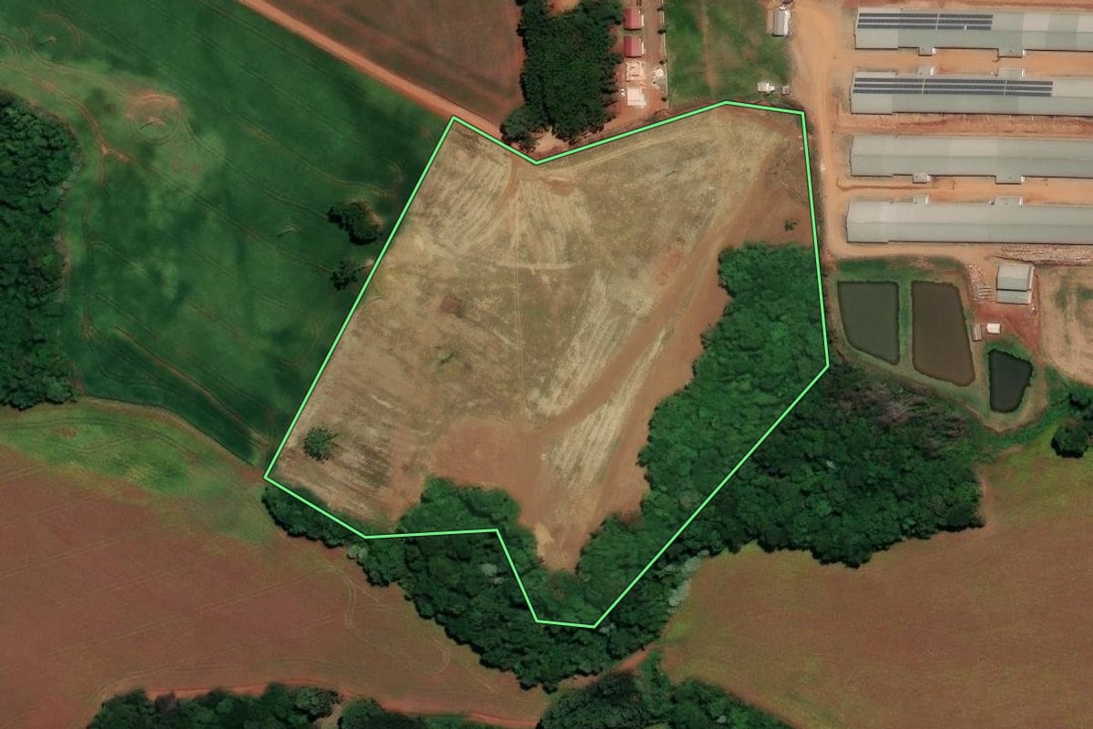 Imagem de satélite do imóvel rural em Ronda Alta (RS), com o contorno declarado no CAR desenhado por cima.