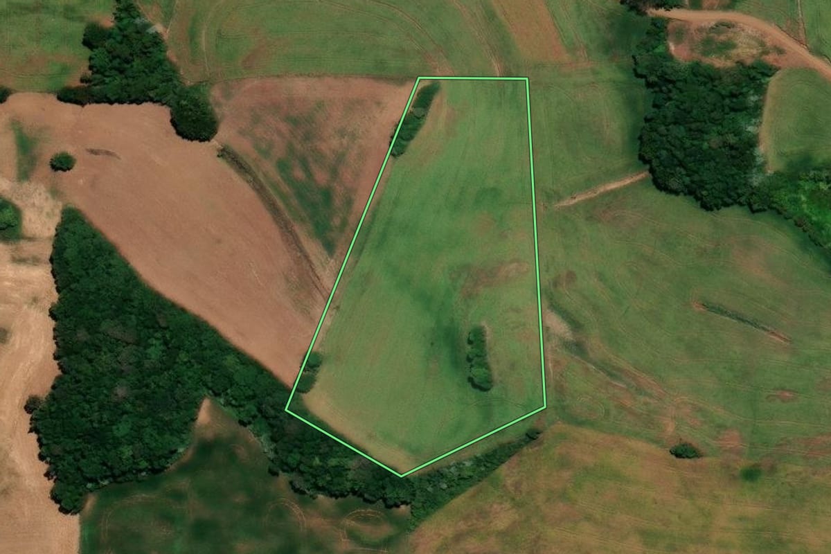 Imagem de satélite do imóvel rural em Ronda Alta (RS), com o contorno declarado no CAR desenhado por cima.