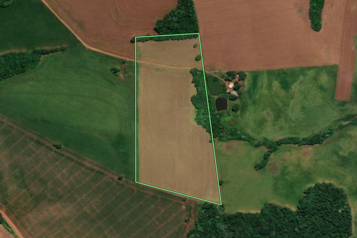 Imagem de satélite do imóvel rural em Ronda Alta (RS), com o contorno declarado no CAR desenhado por cima.