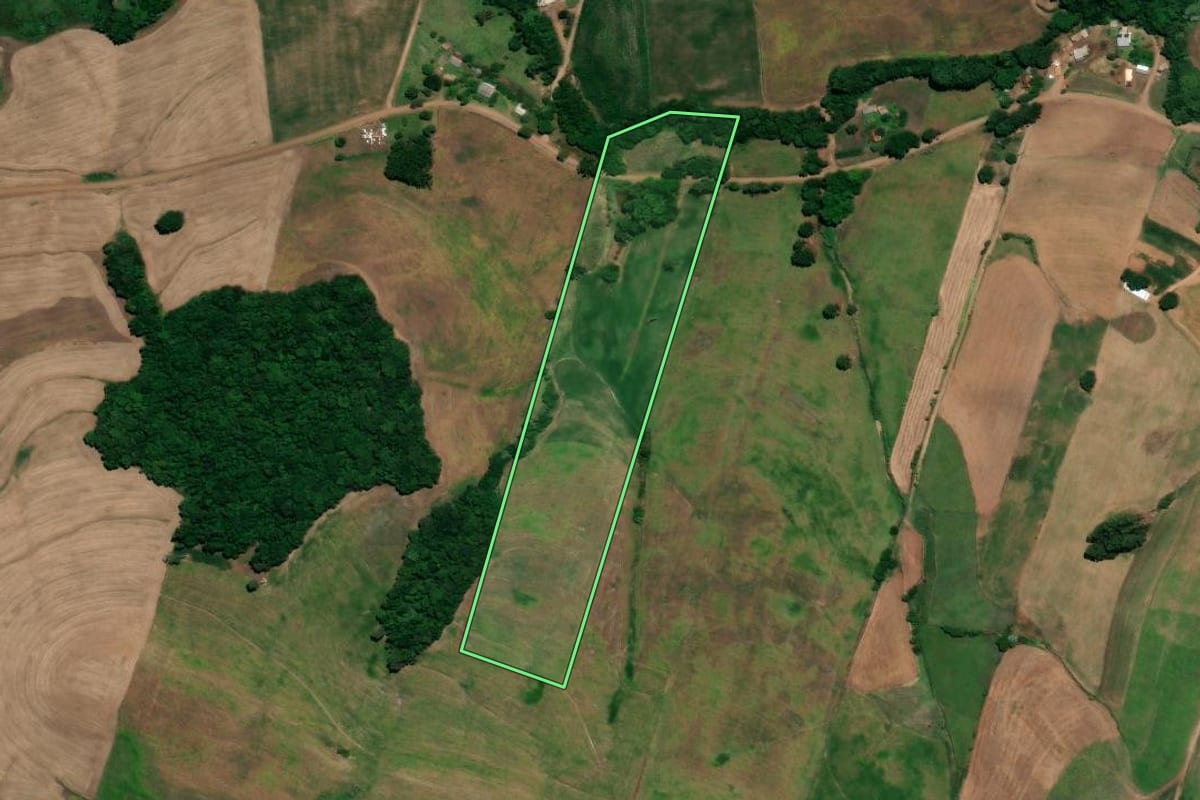 Imagem de satélite do imóvel rural em Ronda Alta (RS), com o contorno declarado no CAR desenhado por cima.