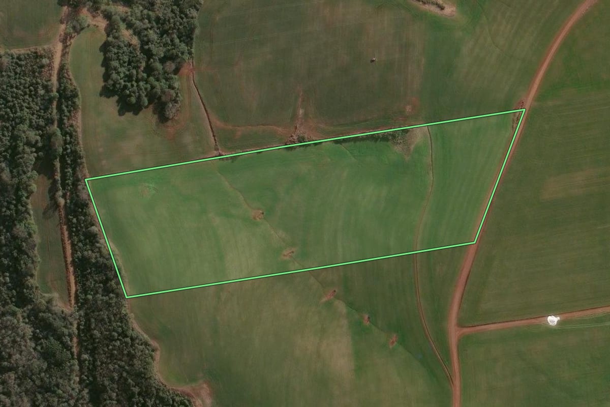 Imagem de satélite do imóvel rural em Ronda Alta (RS), com o contorno declarado no CAR desenhado por cima.
