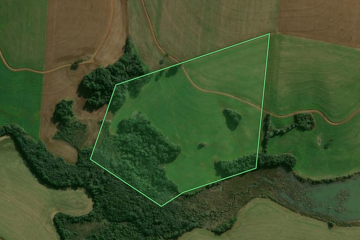 Imagem de satélite do imóvel rural em Ronda Alta (RS), com o contorno declarado no CAR desenhado por cima.