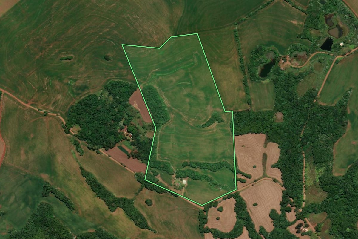Imagem de satélite do imóvel rural em Ronda Alta (RS), com o contorno declarado no CAR desenhado por cima.