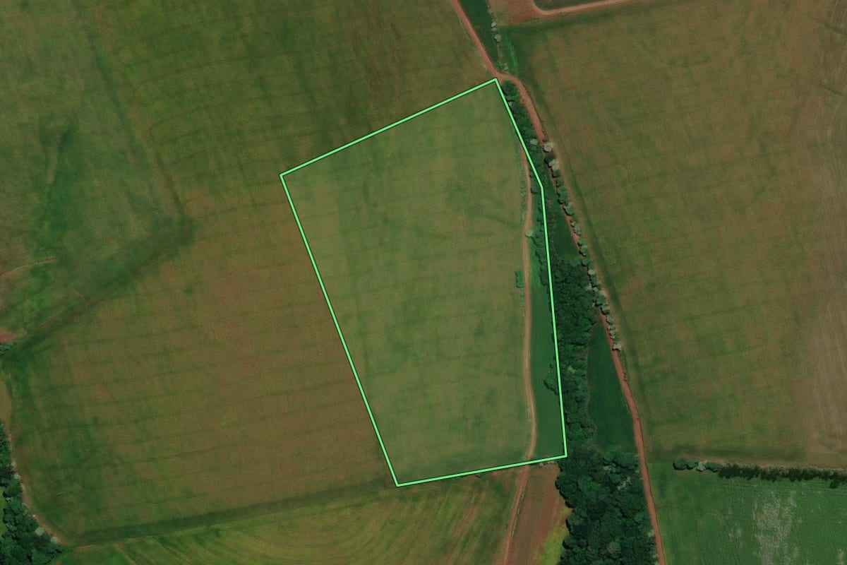 Imagem de satélite do imóvel rural em Ronda Alta (RS), com o contorno declarado no CAR desenhado por cima.