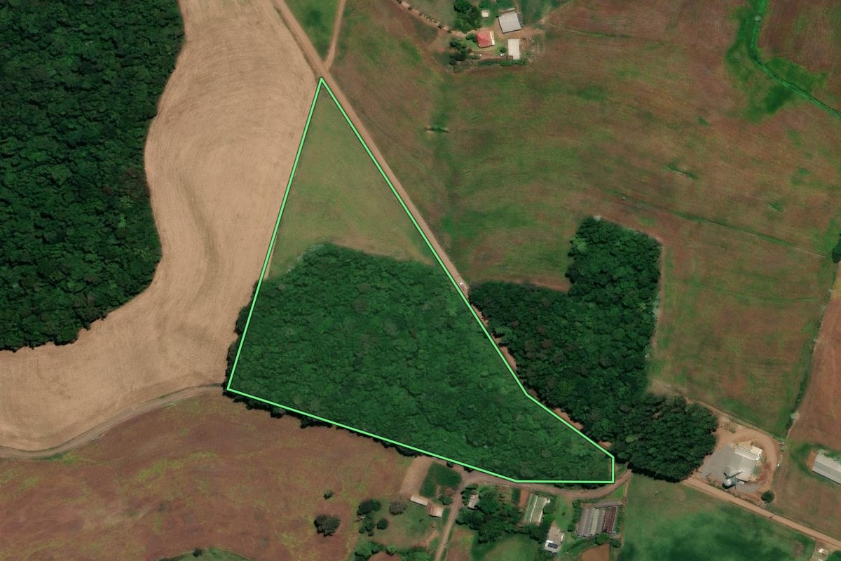 Imagem de satélite do imóvel rural em Ronda Alta (RS), com o contorno declarado no CAR desenhado por cima.
