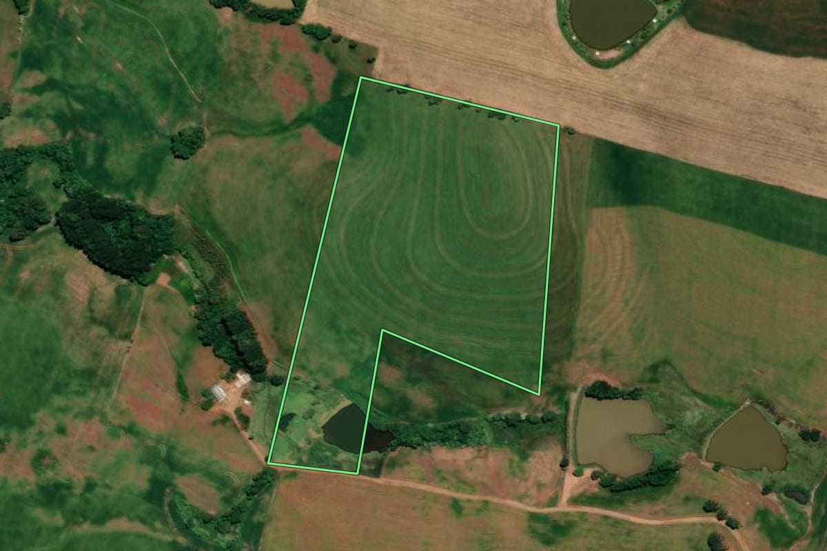 Imagem de satélite do imóvel rural em Ronda Alta (RS), com o contorno declarado no CAR desenhado por cima.
