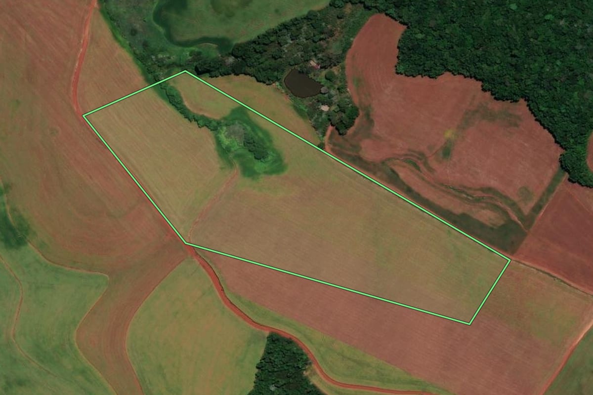 Imagem de satélite do imóvel rural em Ronda Alta (RS), com o contorno declarado no CAR desenhado por cima.