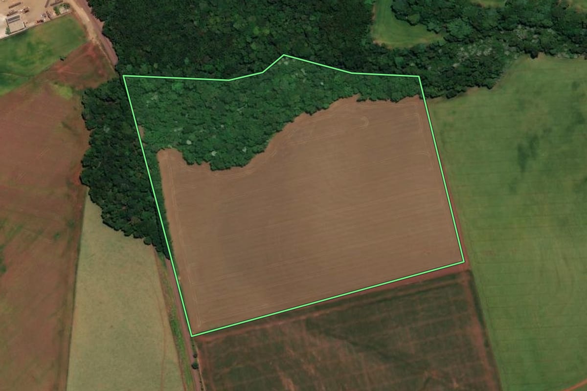 Imagem de satélite do imóvel rural em Ronda Alta (RS), com o contorno declarado no CAR desenhado por cima.