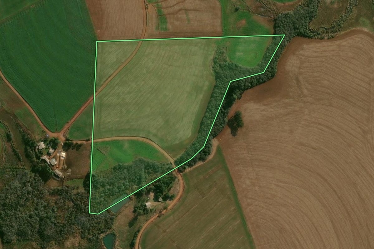 Imagem de satélite do imóvel rural em Ronda Alta (RS), com o contorno declarado no CAR desenhado por cima.