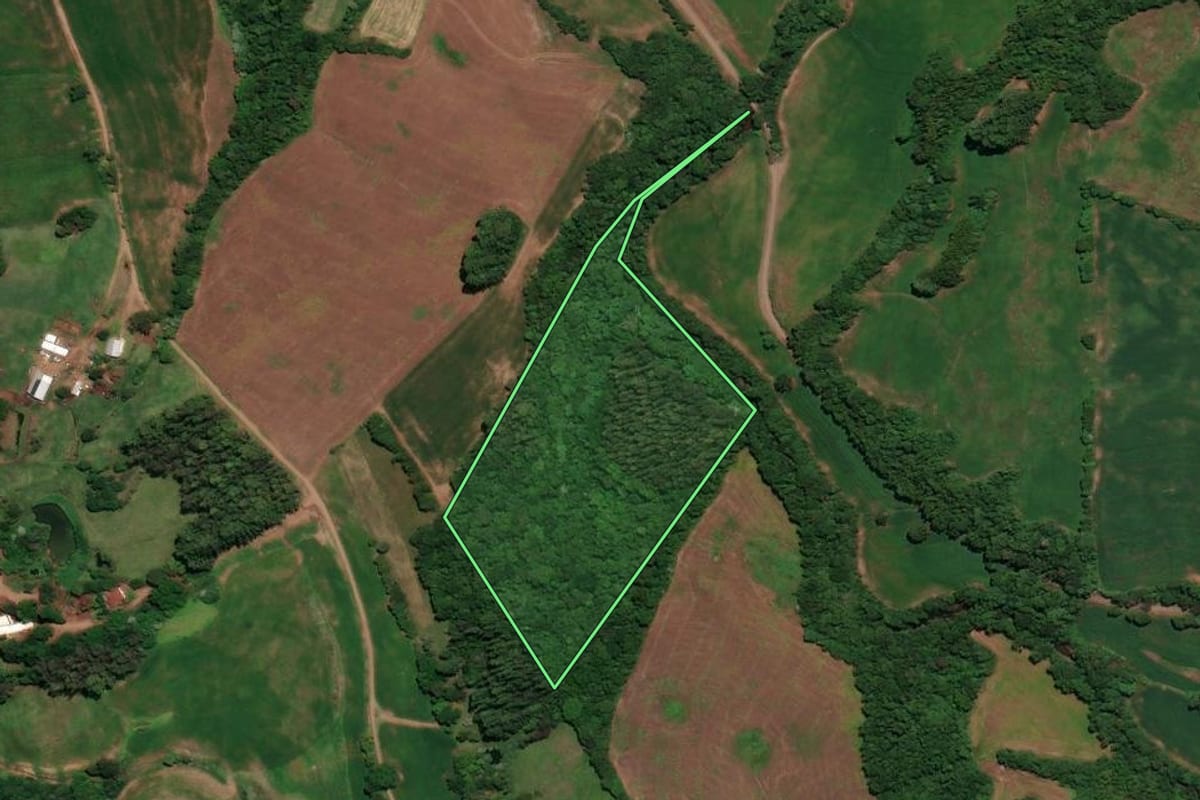 Imagem de satélite do imóvel rural em Rondinha (RS), com o contorno declarado no CAR desenhado por cima.