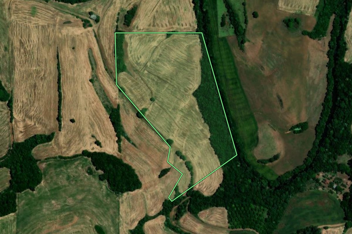 Imagem de satélite do imóvel rural em Rondinha (RS), com o contorno declarado no CAR desenhado por cima.