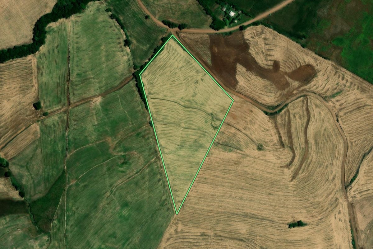 Imagem de satélite do imóvel rural em Rondinha (RS), com o contorno declarado no CAR desenhado por cima.